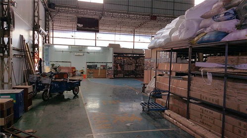 立美建材 專業運動館木地板生產商，品質保障與高清展示